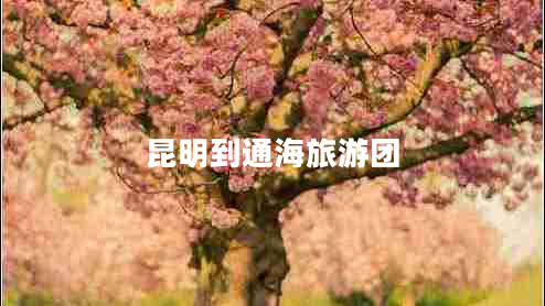昆明到通海旅游團(tuán)