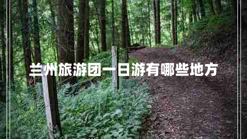 蘭州旅游團(tuán)一日游有哪些地方