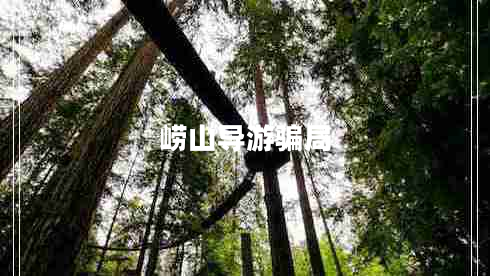 嶗山導(dǎo)游騙局