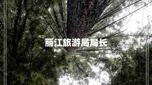 麗江旅游局局長(zhǎng)