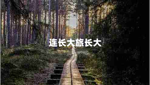 連長大旅長大