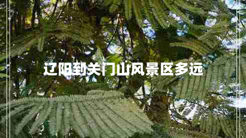 遼陽到關(guān)門山風(fēng)景區(qū)多遠