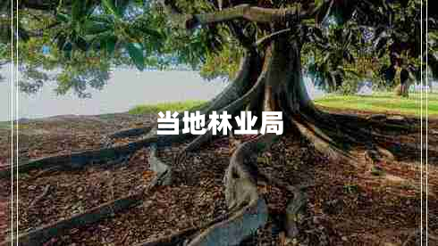 當?shù)亓謽I(yè)局