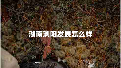 湖南瀏陽發(fā)展怎么樣