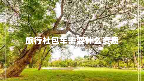 旅行社包車需要什么資質