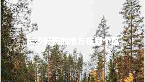 長沙好玩的地方在哪個(gè)區(qū)