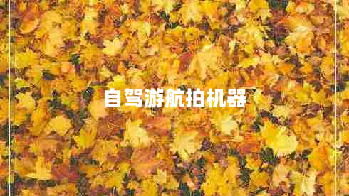 自駕游航拍機(jī)器