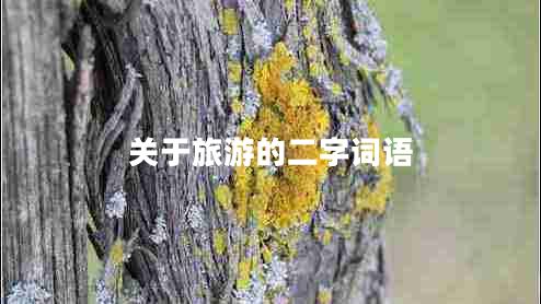 關于旅游的二字詞語