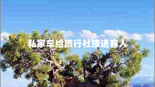 私家車給旅行社接送客人