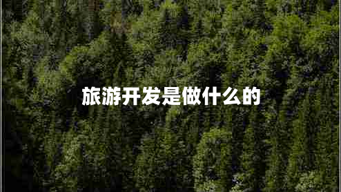 旅游開發(fā)是做什么的