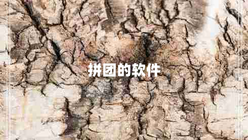 拼團(tuán)的軟件