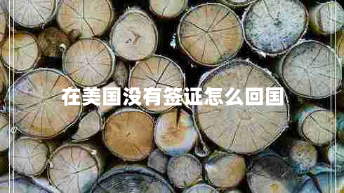 在美國沒有簽證怎么回國