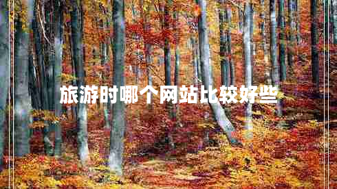 旅游時哪個網站比較好些