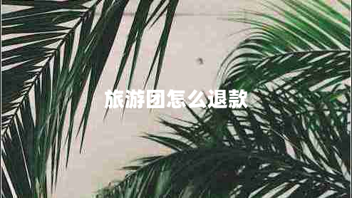 旅游團(tuán)怎么退款
