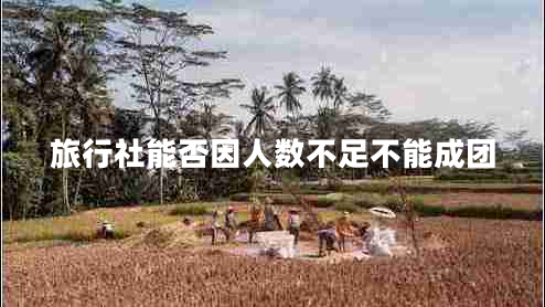 旅行社能否因人數(shù)不足不能成團