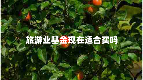 旅游業(yè)基金現(xiàn)在適合買嗎