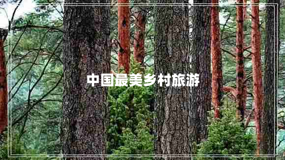 中國最美鄉(xiāng)村旅游