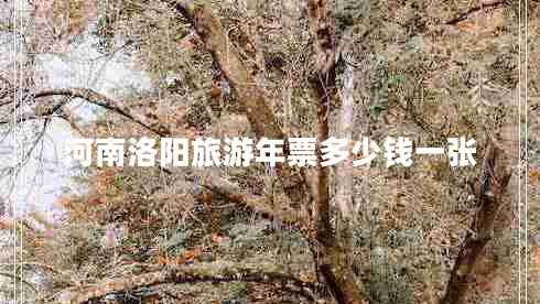 河南洛陽(yáng)旅游年票多少錢一張