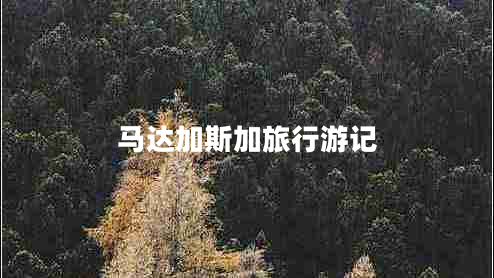 馬達(dá)加斯加旅行游記