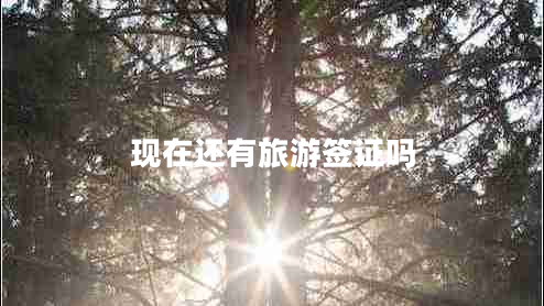現(xiàn)在還有旅游簽證嗎