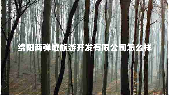 綿陽兩彈城旅游開發(fā)有限公司怎么樣