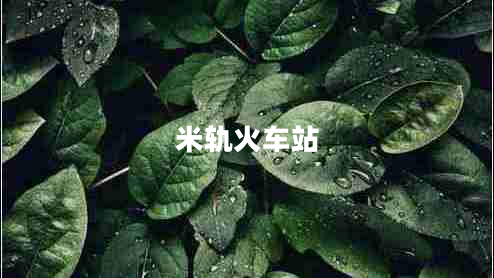 米軌火車站