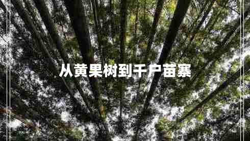 從黃果樹(shù)到千戶苗寨