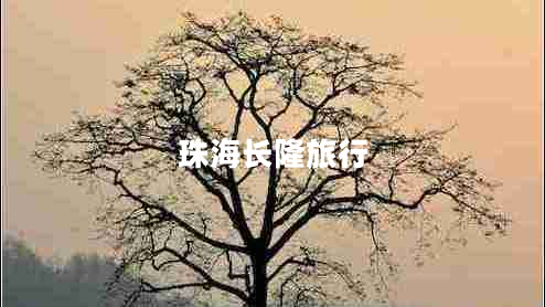 珠海長(zhǎng)隆旅行