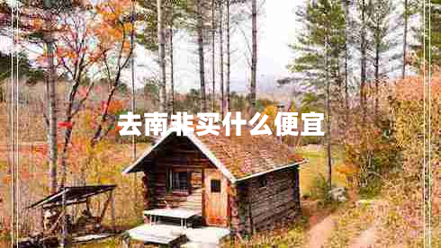 去南非買什么便宜
