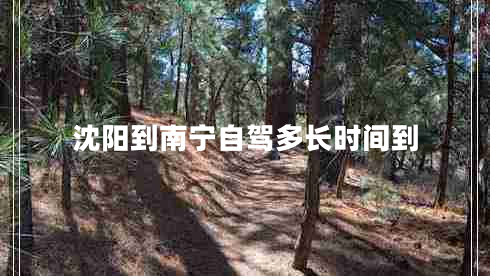 沈陽到南寧自駕多長時間到