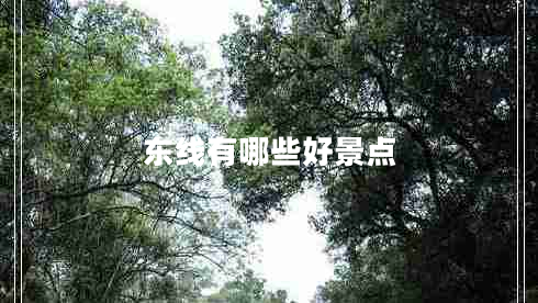 東線有哪些好景點