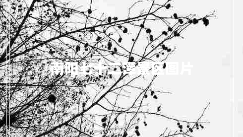 南陽(yáng)七十二潭景區(qū)圖片