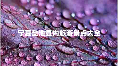 寧夏鹽池縣內旅游景點大全