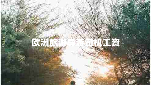 歐洲旅游導(dǎo)游司機(jī)工資
