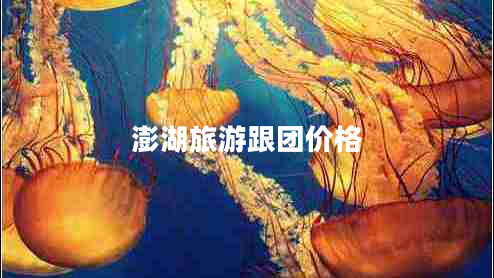 澎湖旅游跟團價格