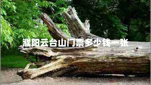濮陽云臺山門票多少錢一張