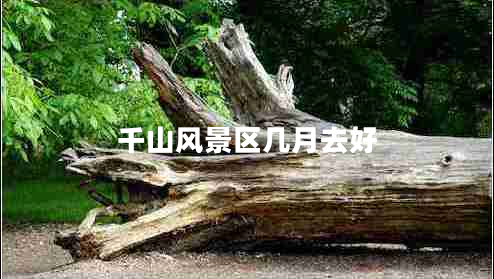 千山風景區(qū)幾月去好