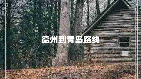 德州到青島路線