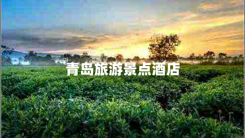 青島旅游景點酒店