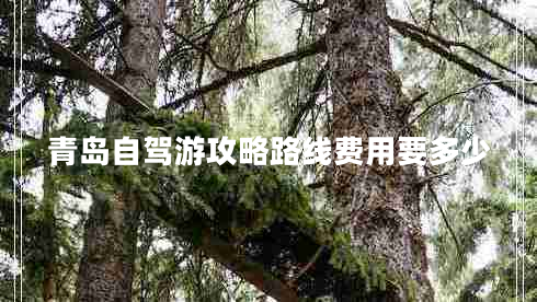 青島自駕游攻略路線費用要多少