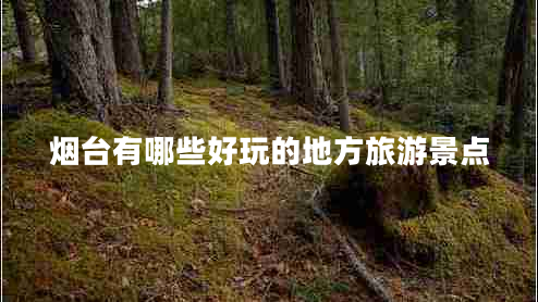 煙臺(tái)有哪些好玩的地方旅游景點(diǎn)