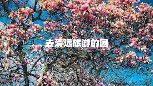 去清遠(yuǎn)旅游的團