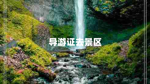 導(dǎo)游證去景區(qū)
