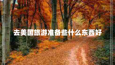 去美國旅游準(zhǔn)備些什么東西好