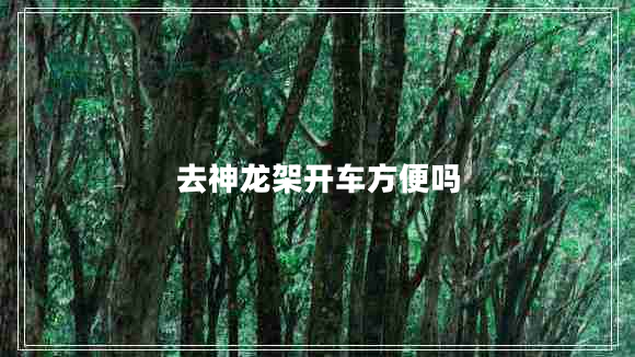 去神龍架開車方便嗎