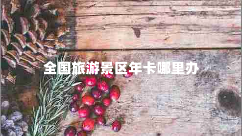 全國(guó)旅游景區(qū)年卡哪里辦