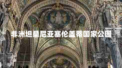 非洲坦桑尼亞塞倫蓋蒂國家公園