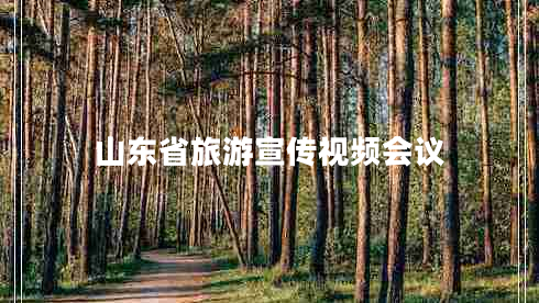 山東省旅游宣傳視頻會(huì)議
