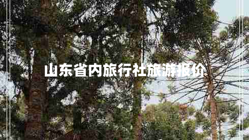 山東省內(nèi)旅行社旅游報價