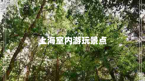 上海室內(nèi)游玩景點(diǎn)